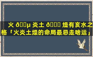 火 🐵 炎土 🐅 燥有亥水之命格「火炎土燥的命局最忌走啥运」